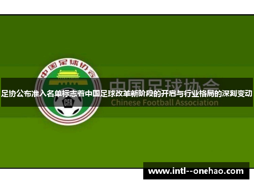 足协公布准入名单标志着中国足球改革新阶段的开启与行业格局的深刻变动