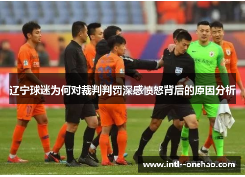辽宁球迷为何对裁判判罚深感愤怒背后的原因分析