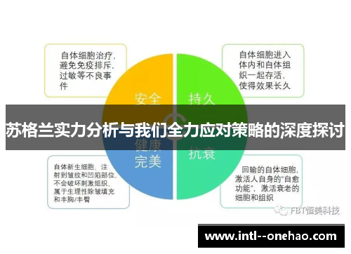 苏格兰实力分析与我们全力应对策略的深度探讨